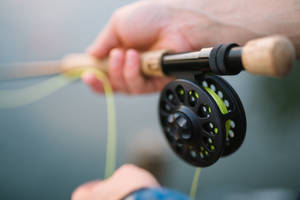 Get Your Fishing On With A Handheld Rod Wallpaper