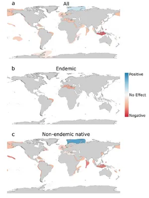 Global Endemic Infographic Wallpaper