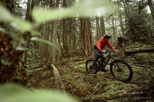 Gloomy 4k Mountain Bike Ride In Forest Wallpaper