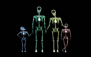 Glowing Family Skeleton Desktop Wallpaper