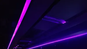 Glowing Neon Purple Lights 4k Wallpaper