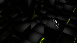 Glowing White Dragon Kali Linux Wallpaper