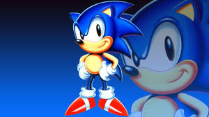 Go Sonic Go! Wallpaper