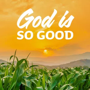 God Is Good With Cornfield During Sunset Wallpaper