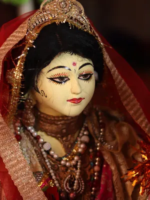 Goddess Kali Red Veil Wallpaper