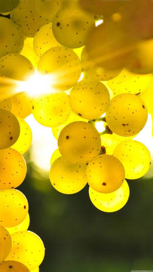 Golden Grapes Beautiful Phone Wallpaper