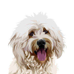 Goldendoodle Dog Art Wallpaper
