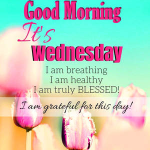 Good Morning Happy Wednesday Quote Wallpaper