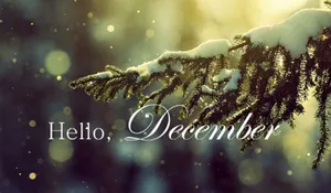 Goodbye November, Hello December Wallpaper