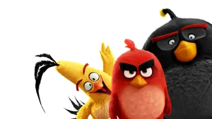 Goofy Trio From The Angry Birds Movie Wallpaper