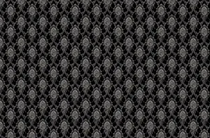 Gothic Beauty Wallpaper