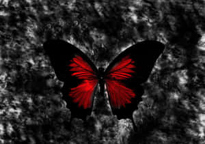 Gothic Computer Butterfly On Rock Wallpaper