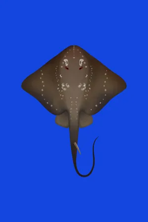 Graceful Stingray In The Ocean Depths Wallpaper