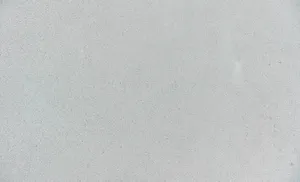 Grainy Light Gray Texture Wallpaper