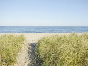 Grass Beach New England Summer Wallpaper