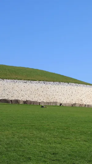 Grassy Newgrange With Blue Sky Portrait Wallpaper
