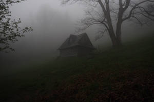 Gray Wooden House Covered By Fog Wallpaper