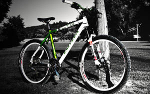 Grayscale Mtb In Tree Park Wallpaper