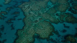 Great Barrier Reef Aerial View Wallpaper