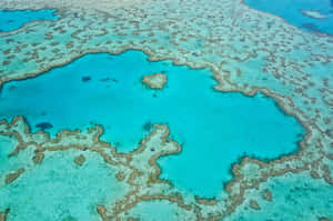 Great Barrier Reef Aerial View Wallpaper