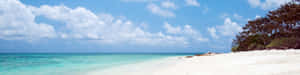 Great Barrier Reef Island Beach Panorama Wallpaper