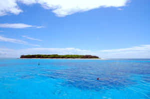 Great Barrier Reef Island Vista Wallpaper
