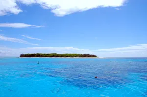Great Barrier Reef Island Vista Wallpaper