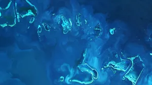 Great Barrier Reef Satellite View Wallpaper