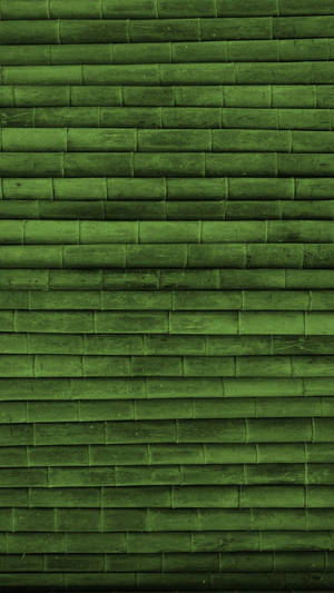 Green Bamboo Stalks Iphone Wallpaper