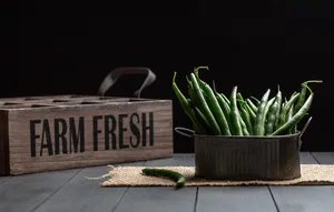 Green Beans Black Pot Wallpaper