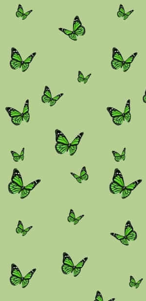 Green Butterfly Flying Around Wallpaper