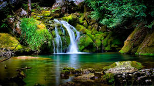 Green Cascade Scenic Wallpaper