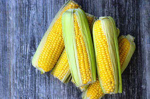 Green Corn With Yellow Kernel Wallpaper