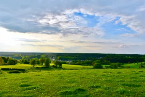 Green Farm With Grass And Flowers In Chatillon Belgium Wallpaper