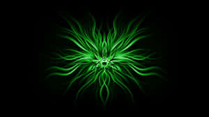 Green Fractal Art Wallpaper Wallpaper