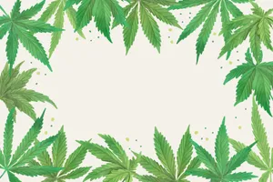 Green Gradient Marijuana Leaves Wallpaper