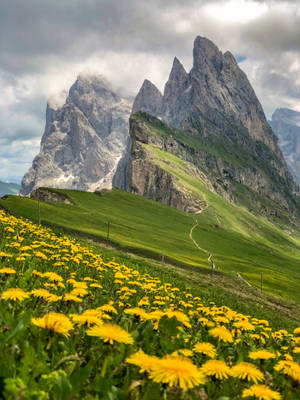 Green Hill Seceda Mountain Peak Wallpaper