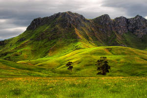 Green Hill Te Mata Peak Wallpaper