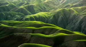 Green Hill Valley Wallpaper