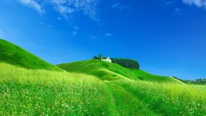 Green Hill With White Church Wallpaper