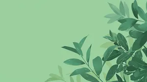Green Leaves Aesthetic Background Wallpaper