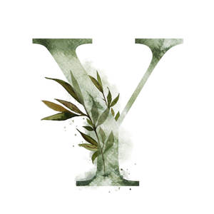 Green Letter Y Wallpaper