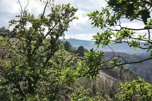 Green Mountain Nature Scenery Wallpaper