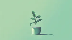 Green Plant Minimalist Aesthetic.jpg Wallpaper
