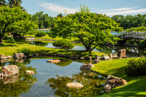 Green Tranquility In The Landscape Wallpaper