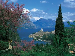 Green Tree In Lago Di Garda Wallpaper