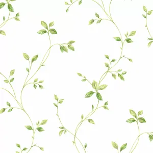 Green Vine Pattern Background Wallpaper