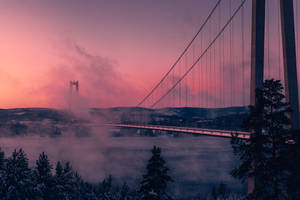Grey Full-suspension Bridge Photography During Daytime Wallpaper