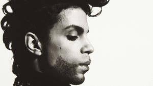 Greyscale Close-up Prince Wallpaper