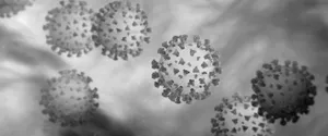 Greyscale Coronavirus Visual Wallpaper